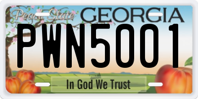 GA license plate PWN5001