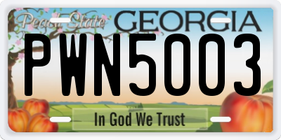 GA license plate PWN5003
