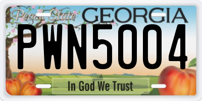 GA license plate PWN5004