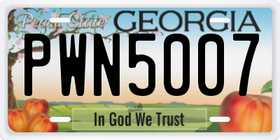 GA license plate PWN5007