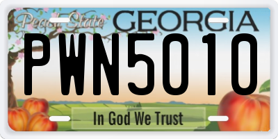 GA license plate PWN5010