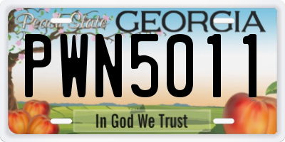 GA license plate PWN5011