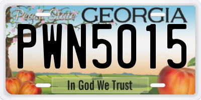 GA license plate PWN5015
