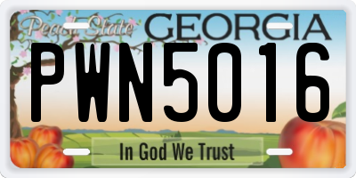 GA license plate PWN5016