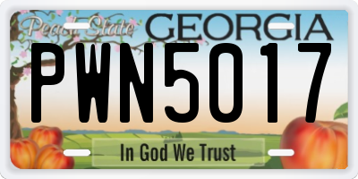 GA license plate PWN5017
