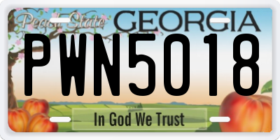 GA license plate PWN5018