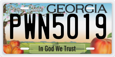 GA license plate PWN5019