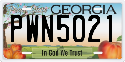 GA license plate PWN5021