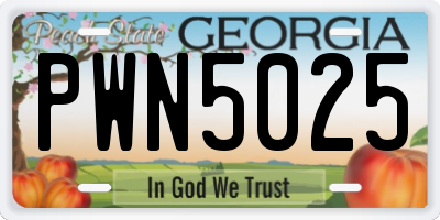 GA license plate PWN5025