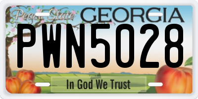 GA license plate PWN5028