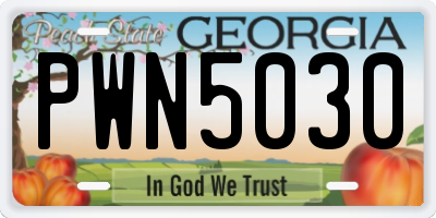 GA license plate PWN5030