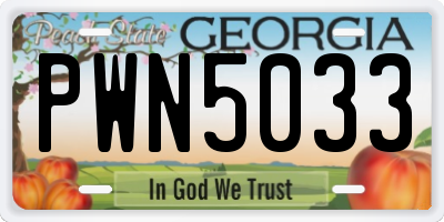GA license plate PWN5033