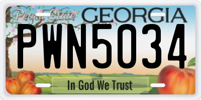 GA license plate PWN5034