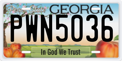 GA license plate PWN5036