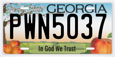 GA license plate PWN5037