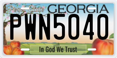GA license plate PWN5040