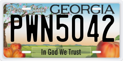 GA license plate PWN5042