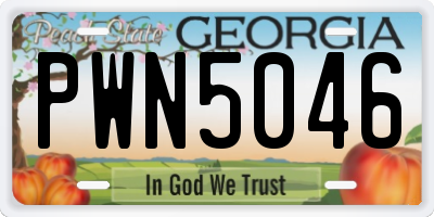 GA license plate PWN5046