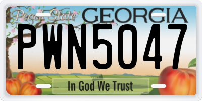 GA license plate PWN5047