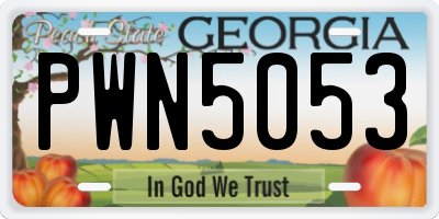 GA license plate PWN5053