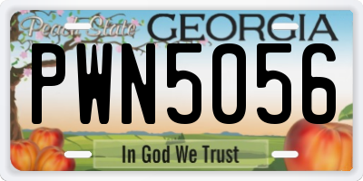 GA license plate PWN5056