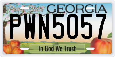 GA license plate PWN5057