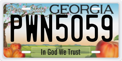 GA license plate PWN5059