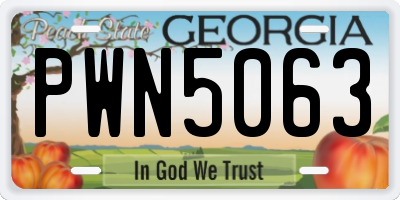GA license plate PWN5063
