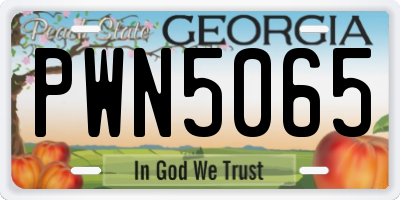 GA license plate PWN5065