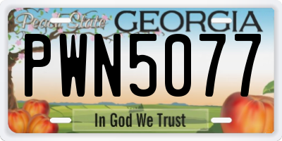 GA license plate PWN5077