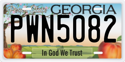 GA license plate PWN5082