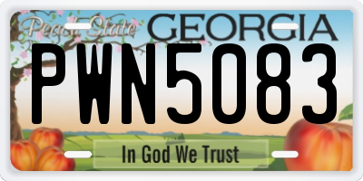 GA license plate PWN5083