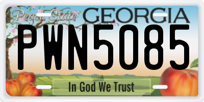 GA license plate PWN5085