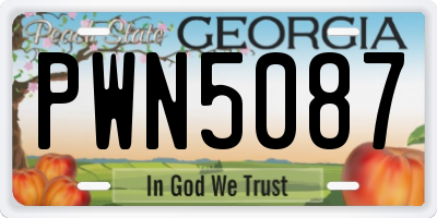 GA license plate PWN5087