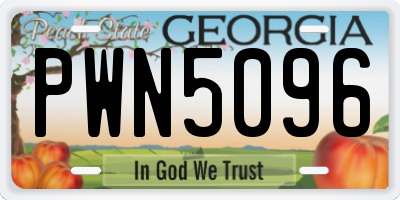 GA license plate PWN5096