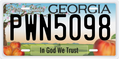 GA license plate PWN5098