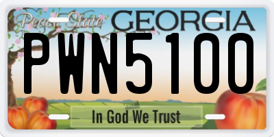 GA license plate PWN5100