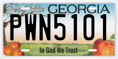 GA license plate PWN5101