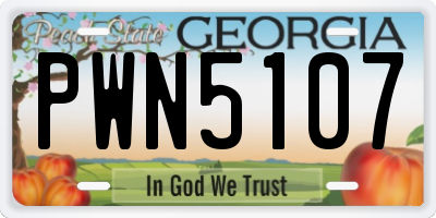 GA license plate PWN5107