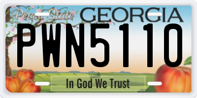 GA license plate PWN5110