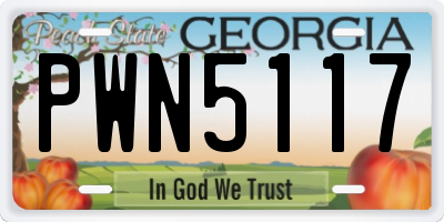 GA license plate PWN5117
