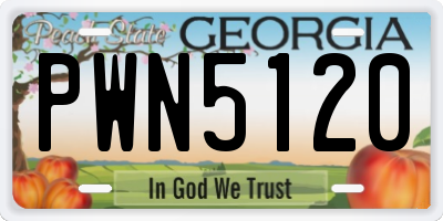 GA license plate PWN5120