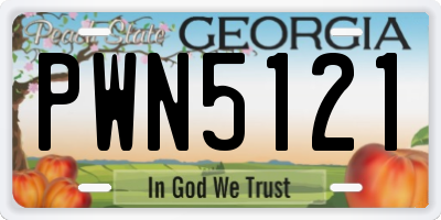 GA license plate PWN5121