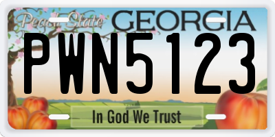 GA license plate PWN5123