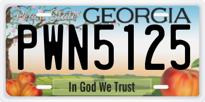 GA license plate PWN5125