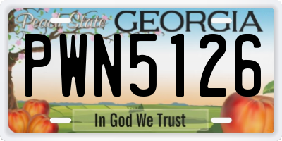 GA license plate PWN5126