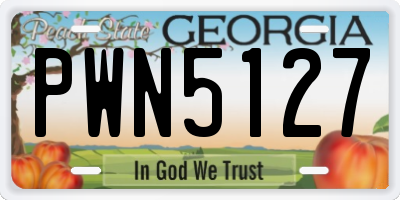 GA license plate PWN5127