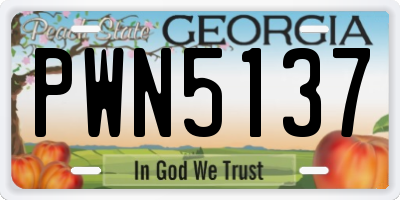 GA license plate PWN5137