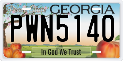 GA license plate PWN5140