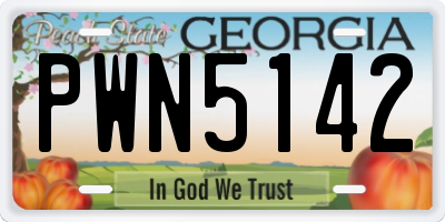 GA license plate PWN5142
